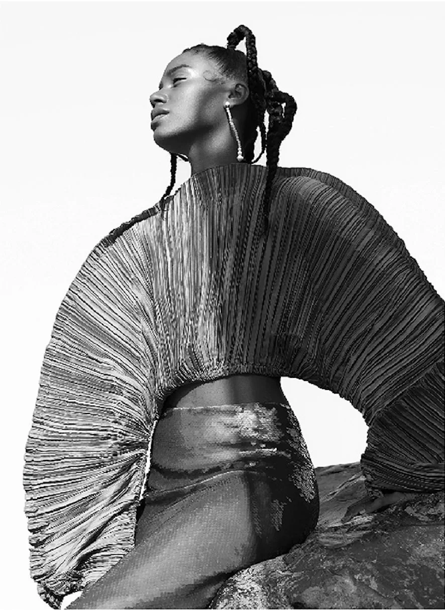 Pleated top on a rock, black and white