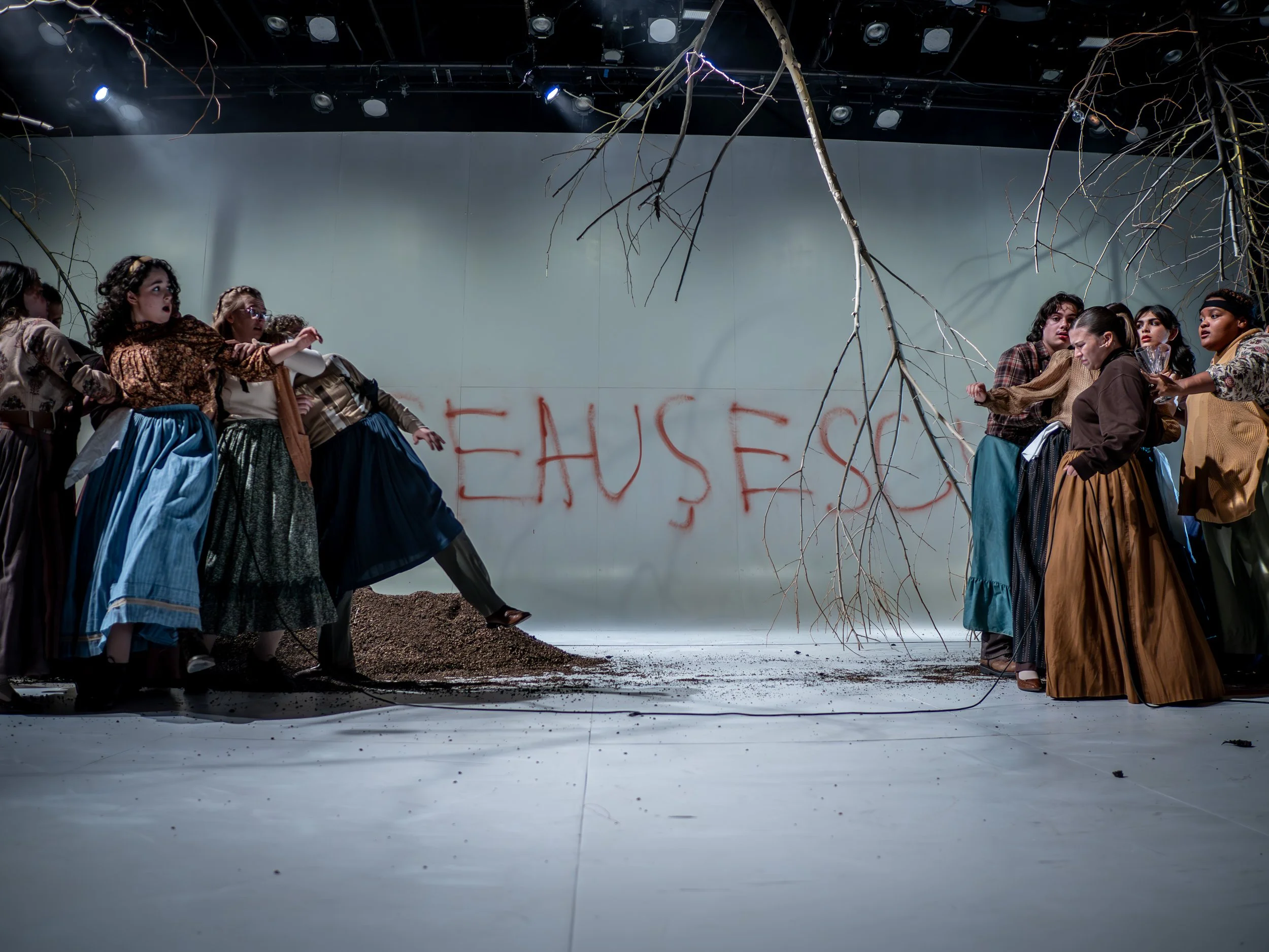 10102025_74278_Mad Forest.jpg