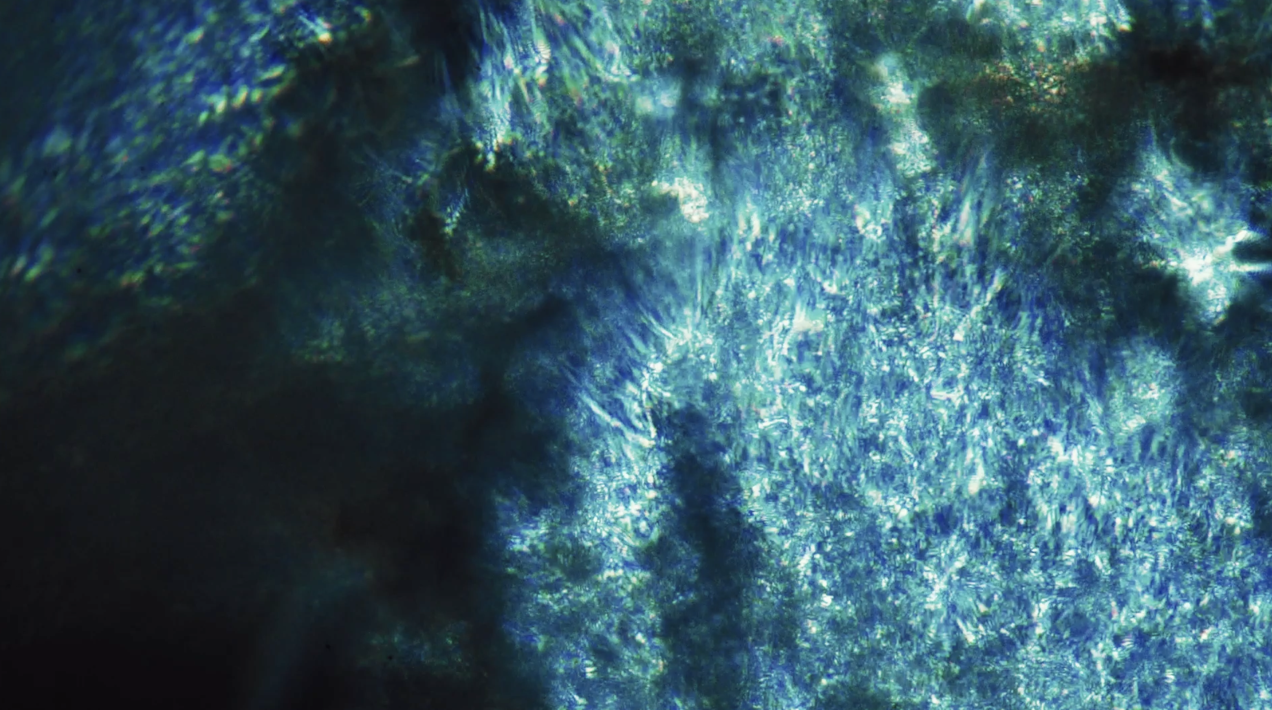 Screenshot 2026-01-09 at 4.16.22 PM.png