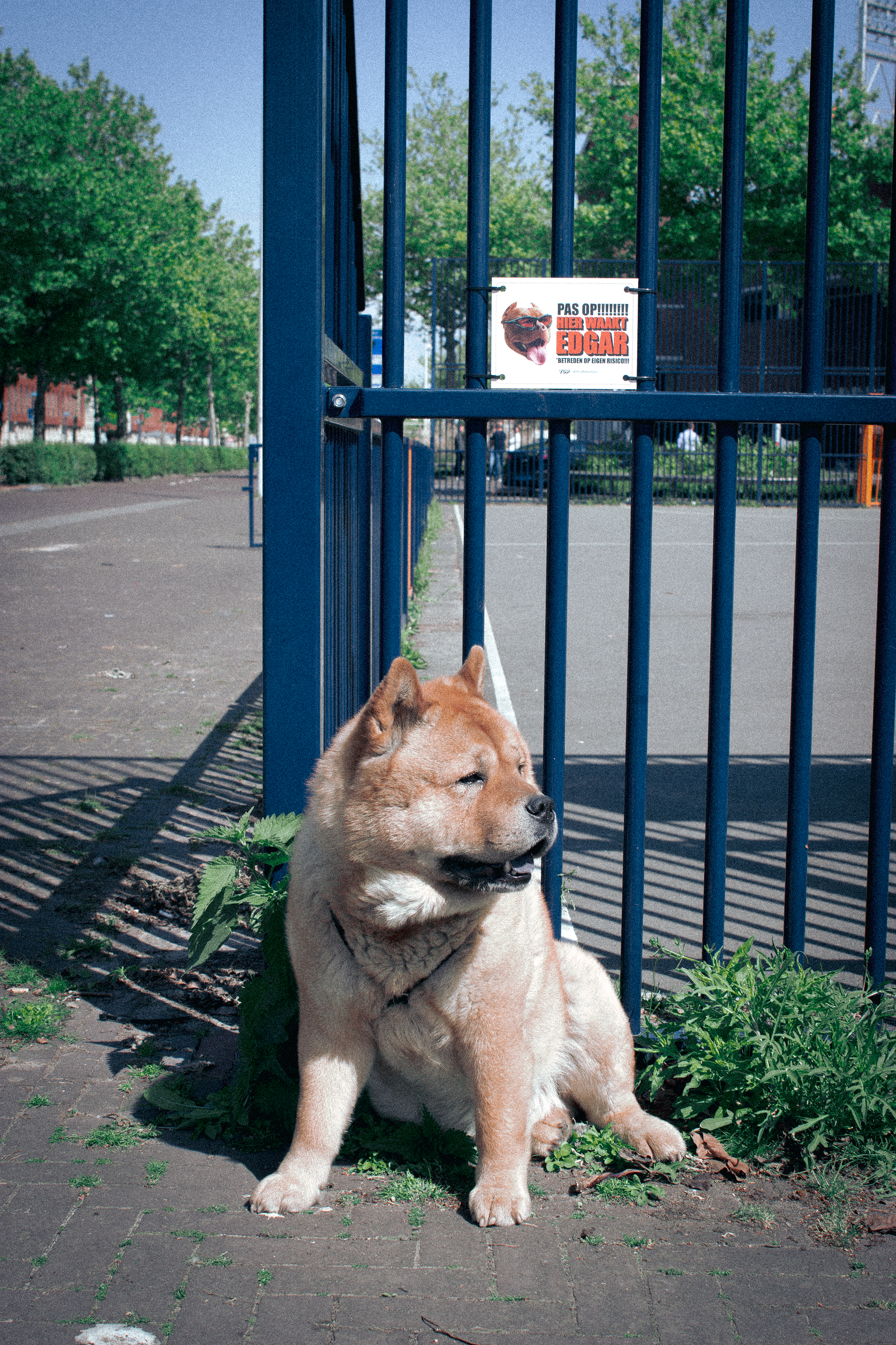 IMG_1063 kopie.png