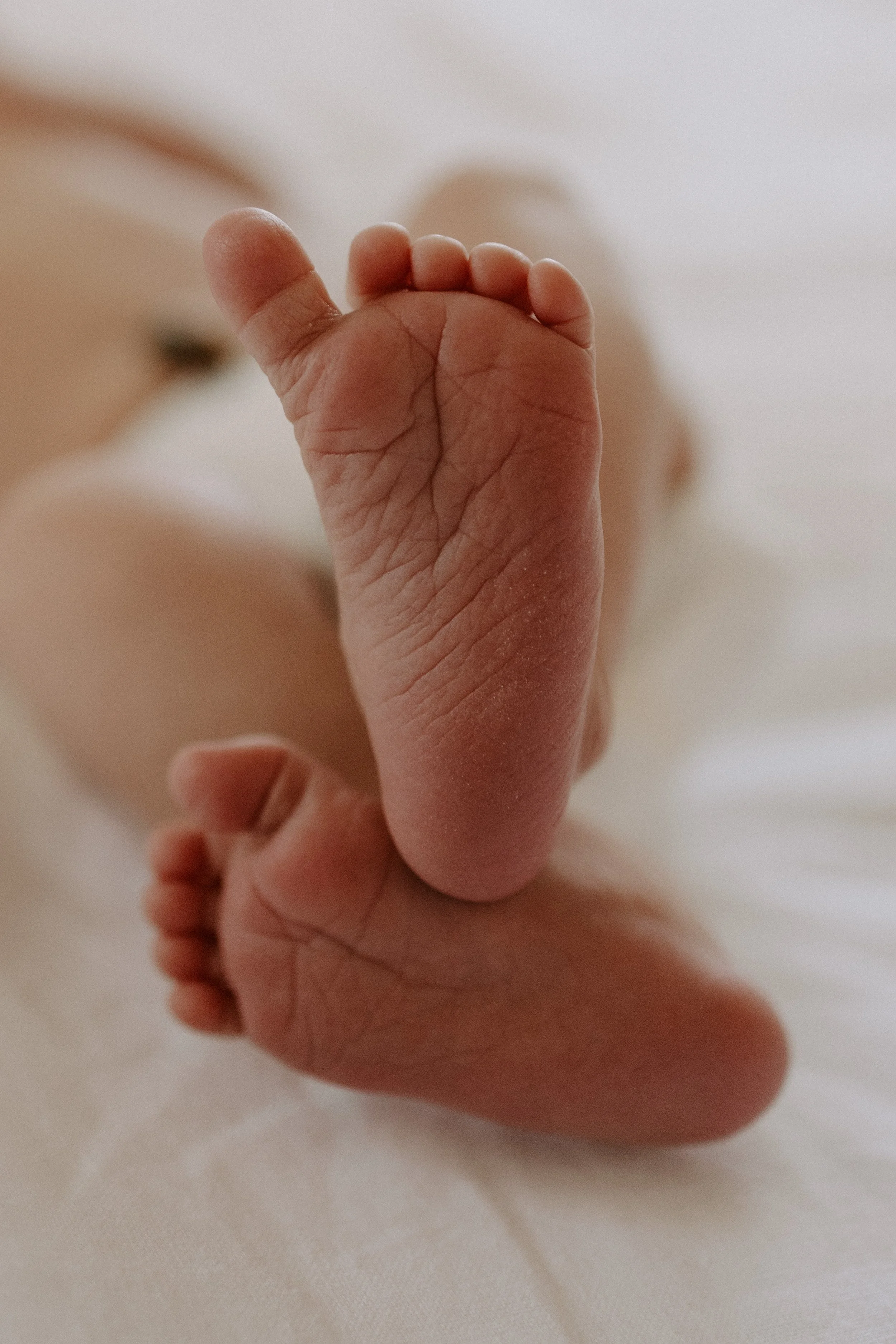 TeddyNewbornAug2026-55.jpg