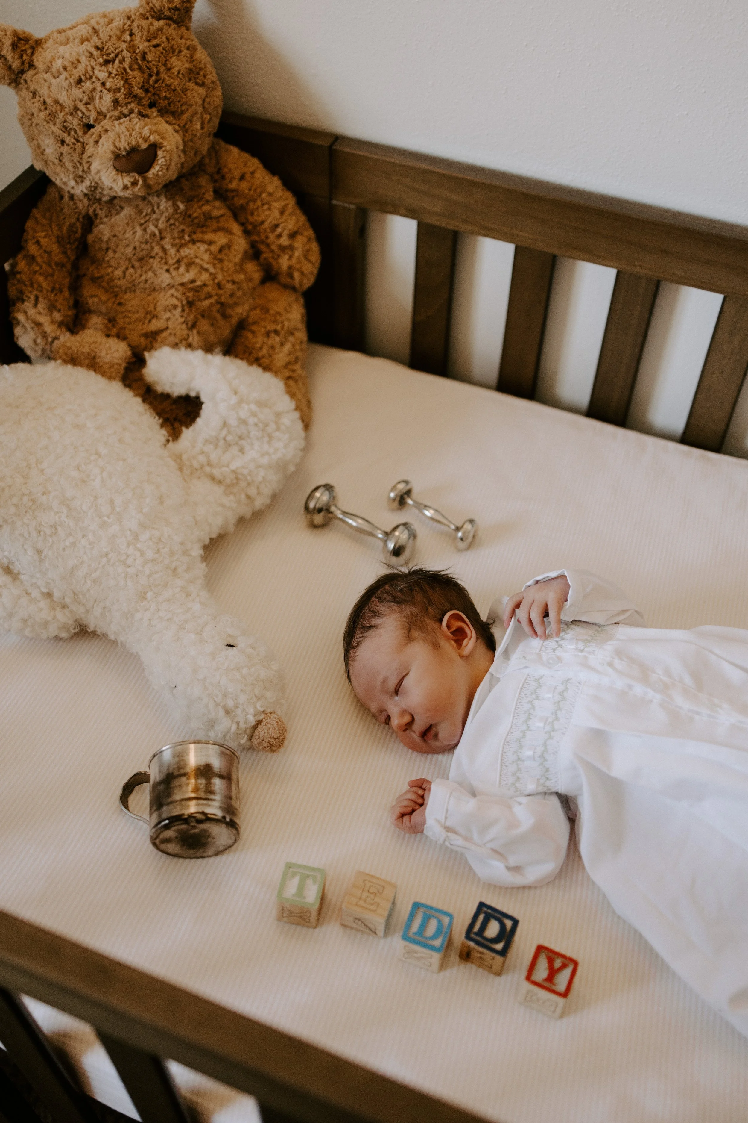 TeddyNewbornAug2026-28.jpg