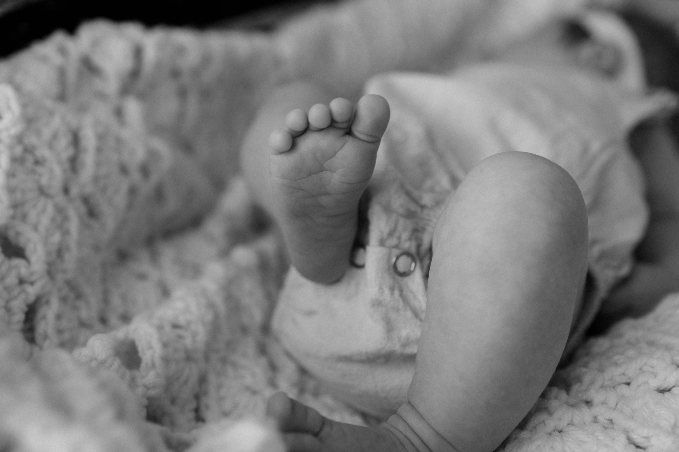 Lottie8.14.24-5.jpg