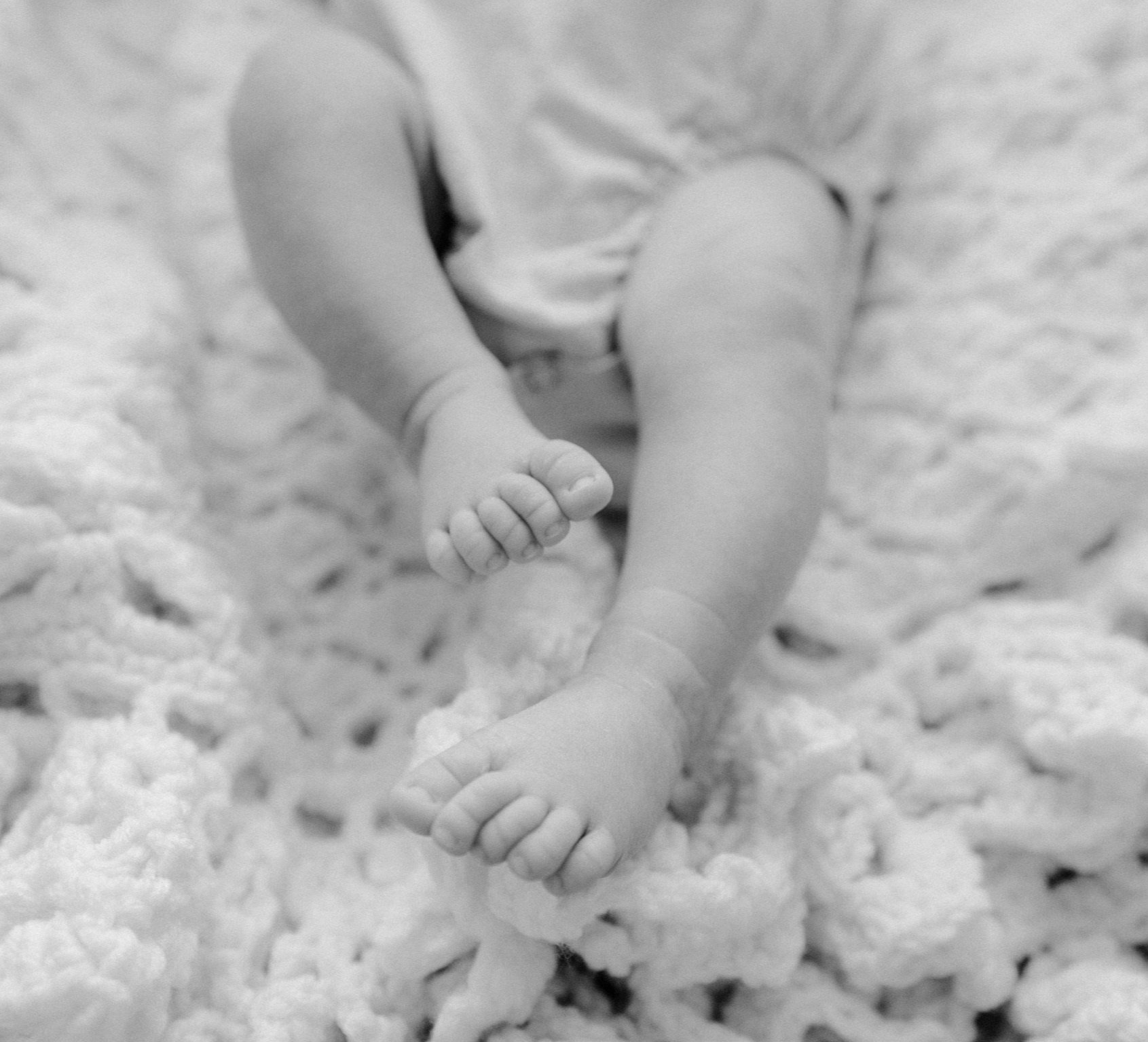 Lottie8.14.24-1.jpg