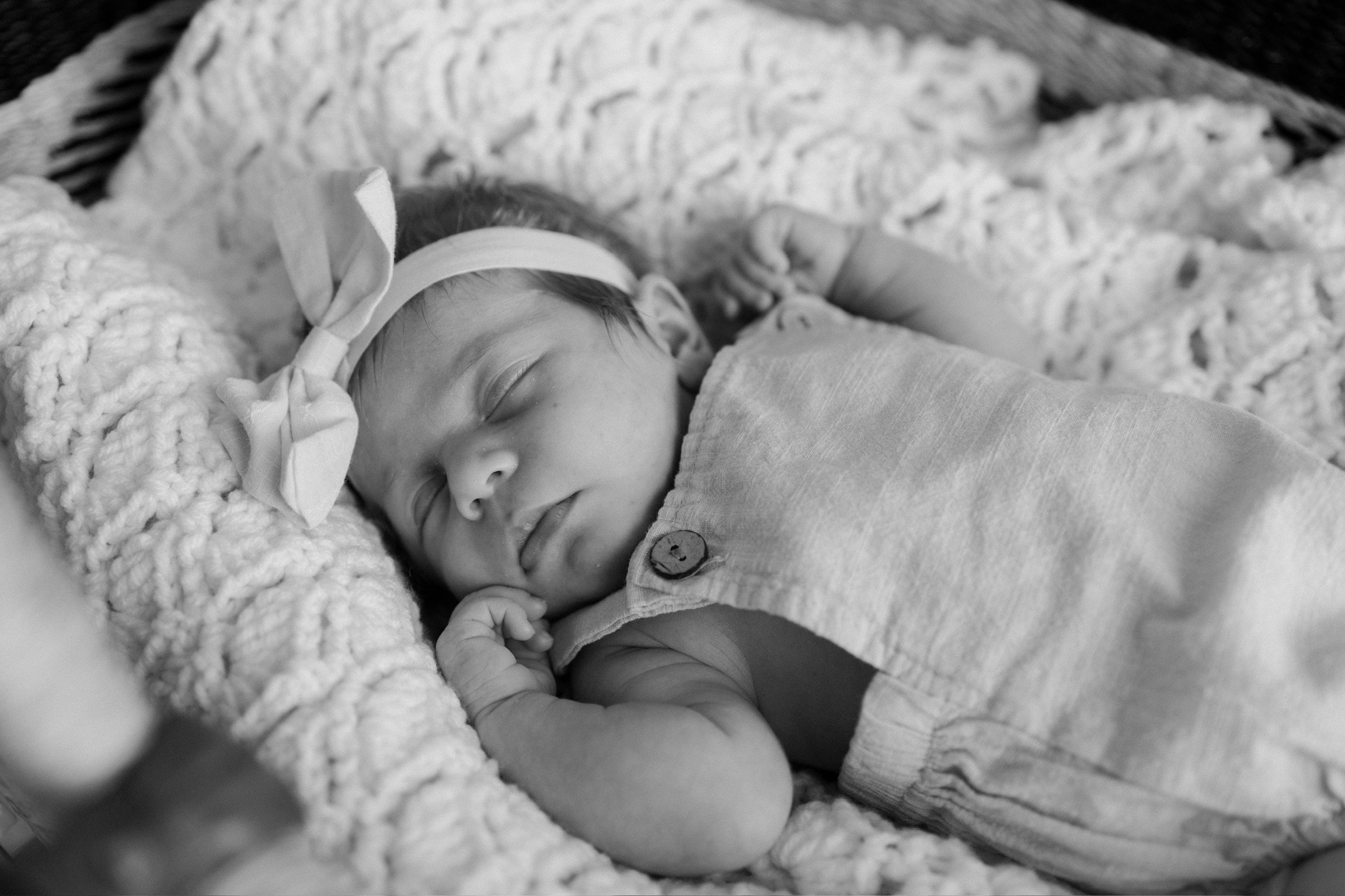 Lottie8.14.24-25.jpg