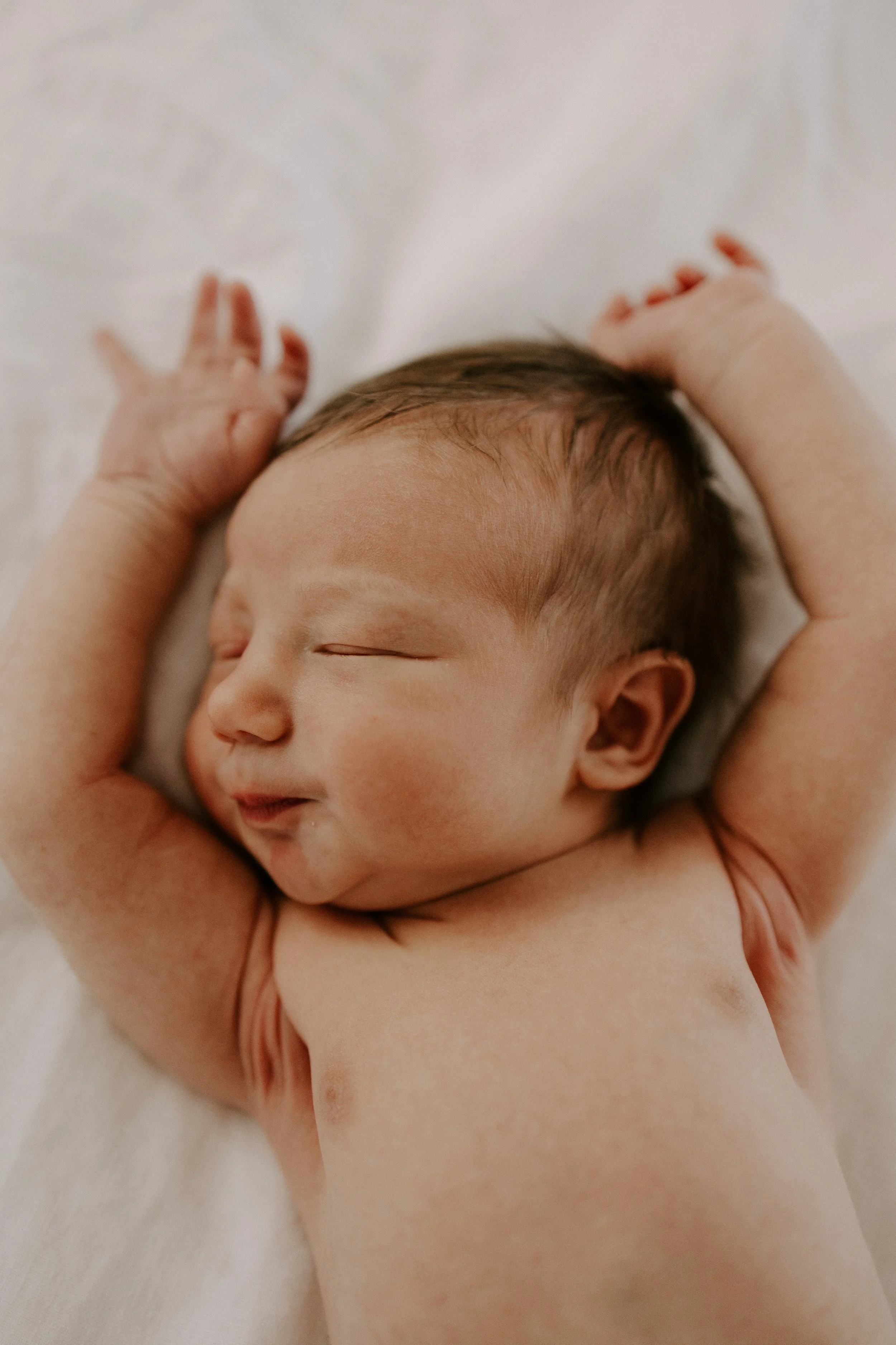 TeddyNewbornAug2026-65.jpg