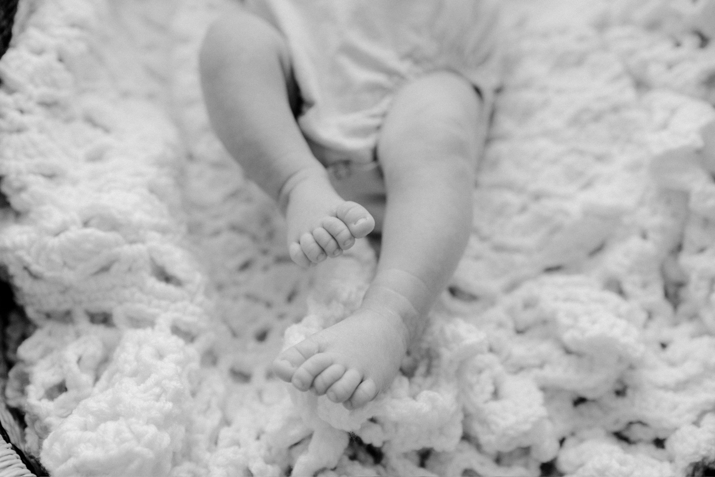 Lottie8.14.24-1.jpg