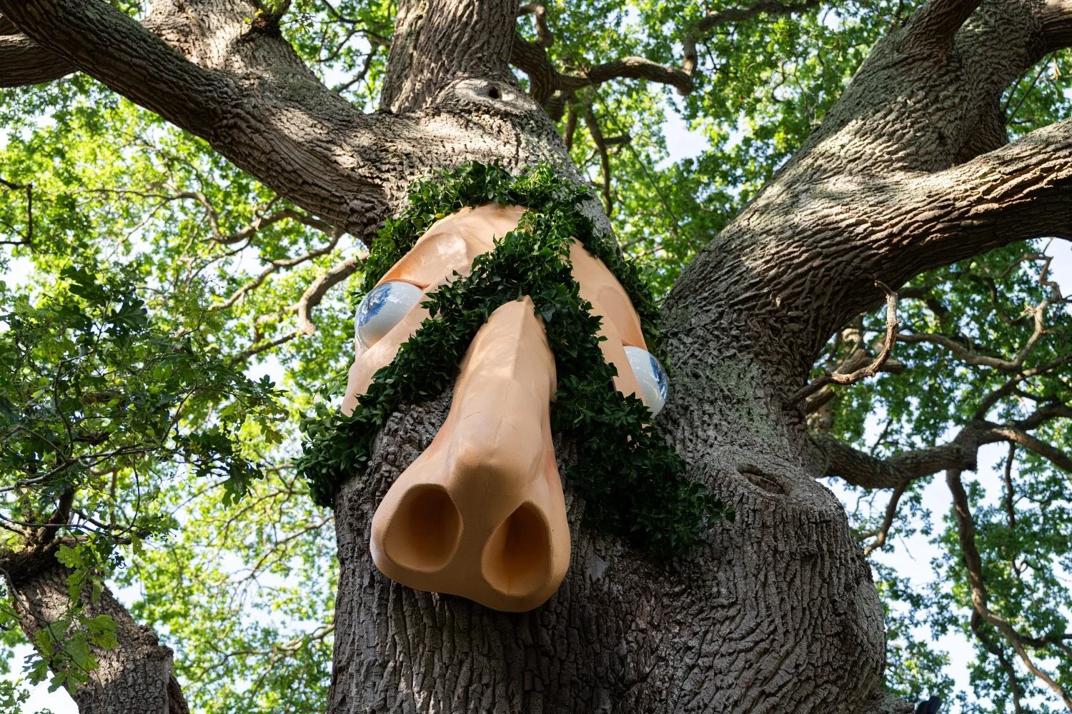surreal nose and eyes in a tree