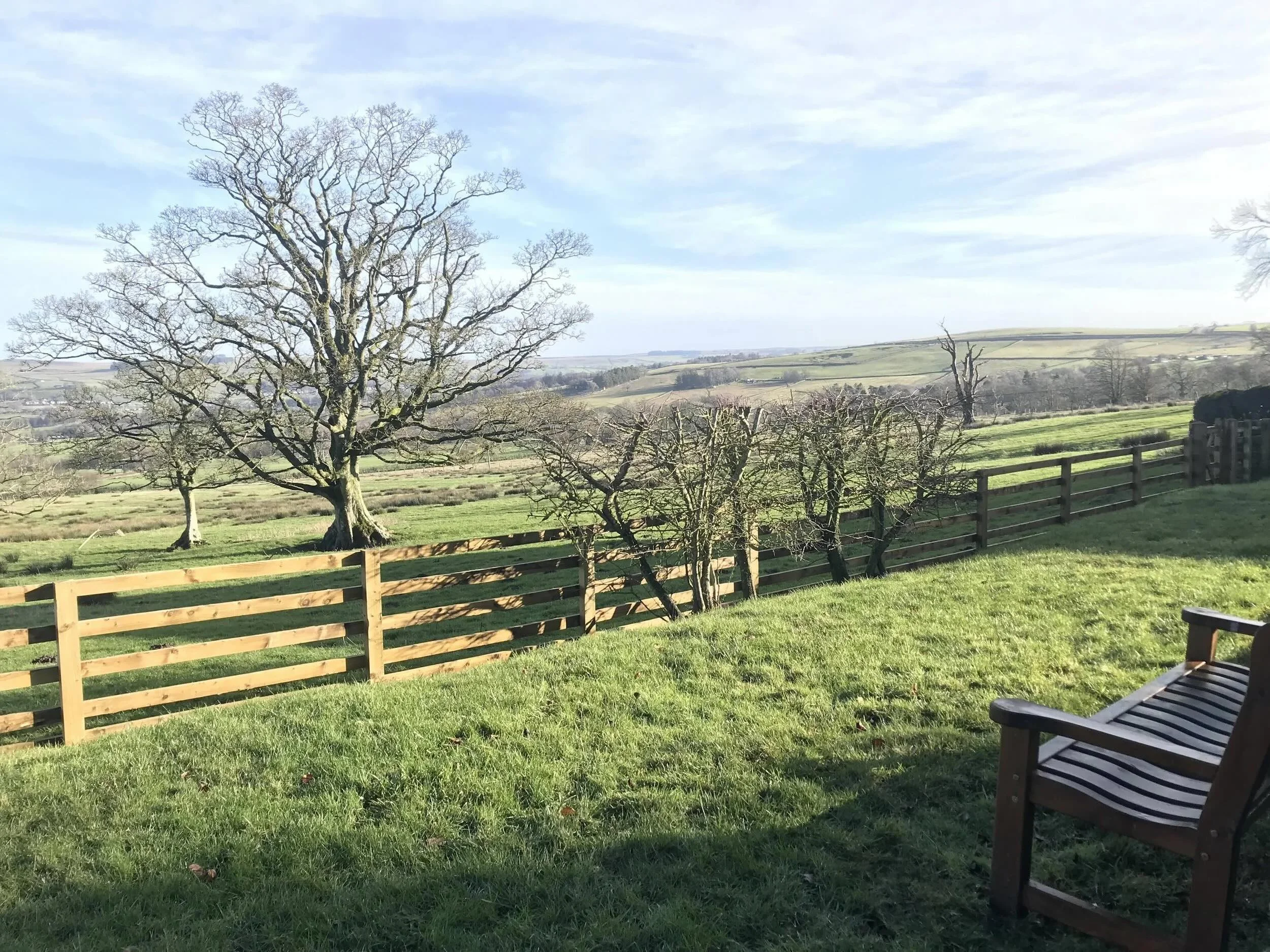view across bench - small.jpeg