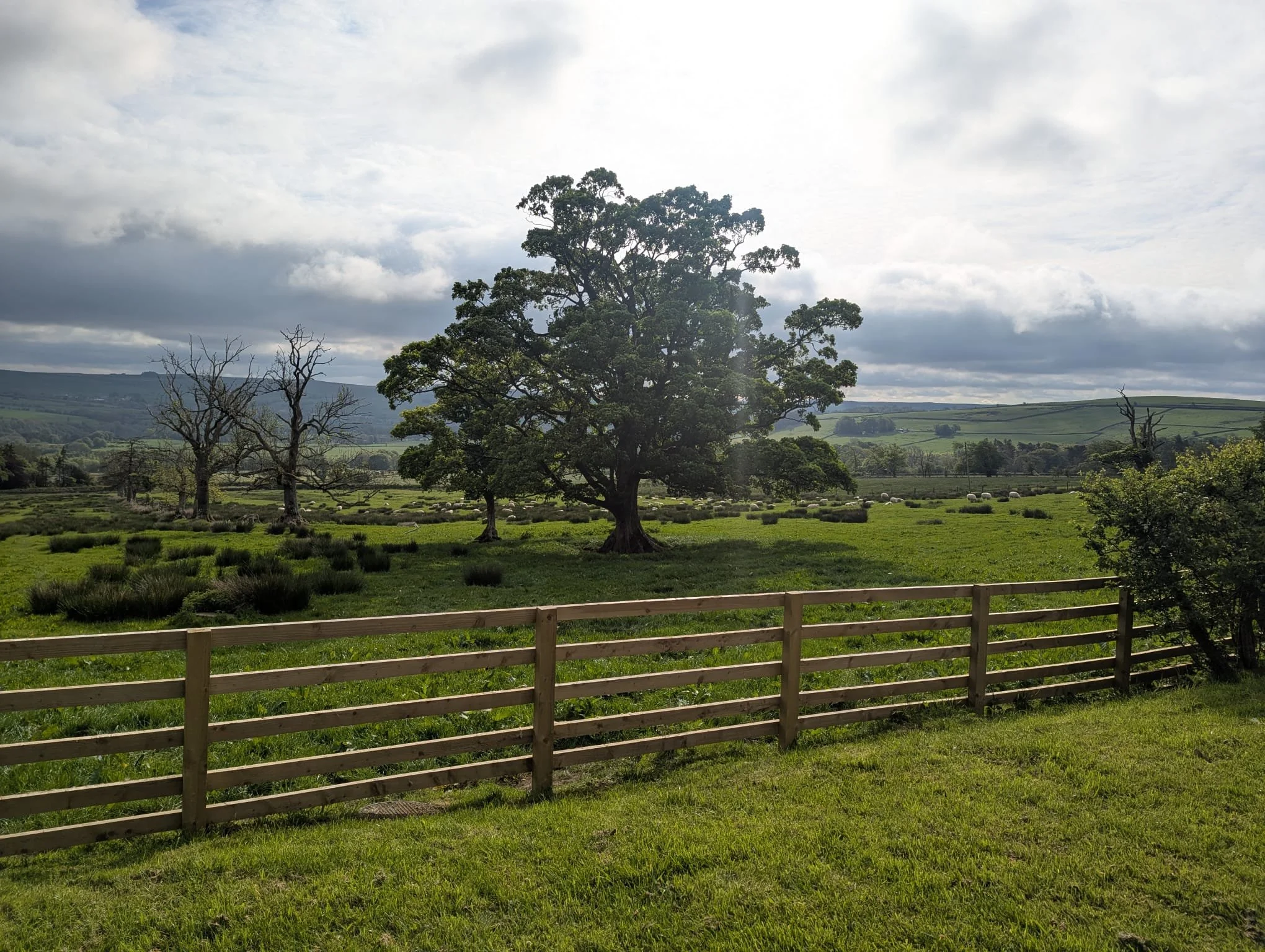 b98bd61c-8caa-486e-ab26-48575ddae153.JPG