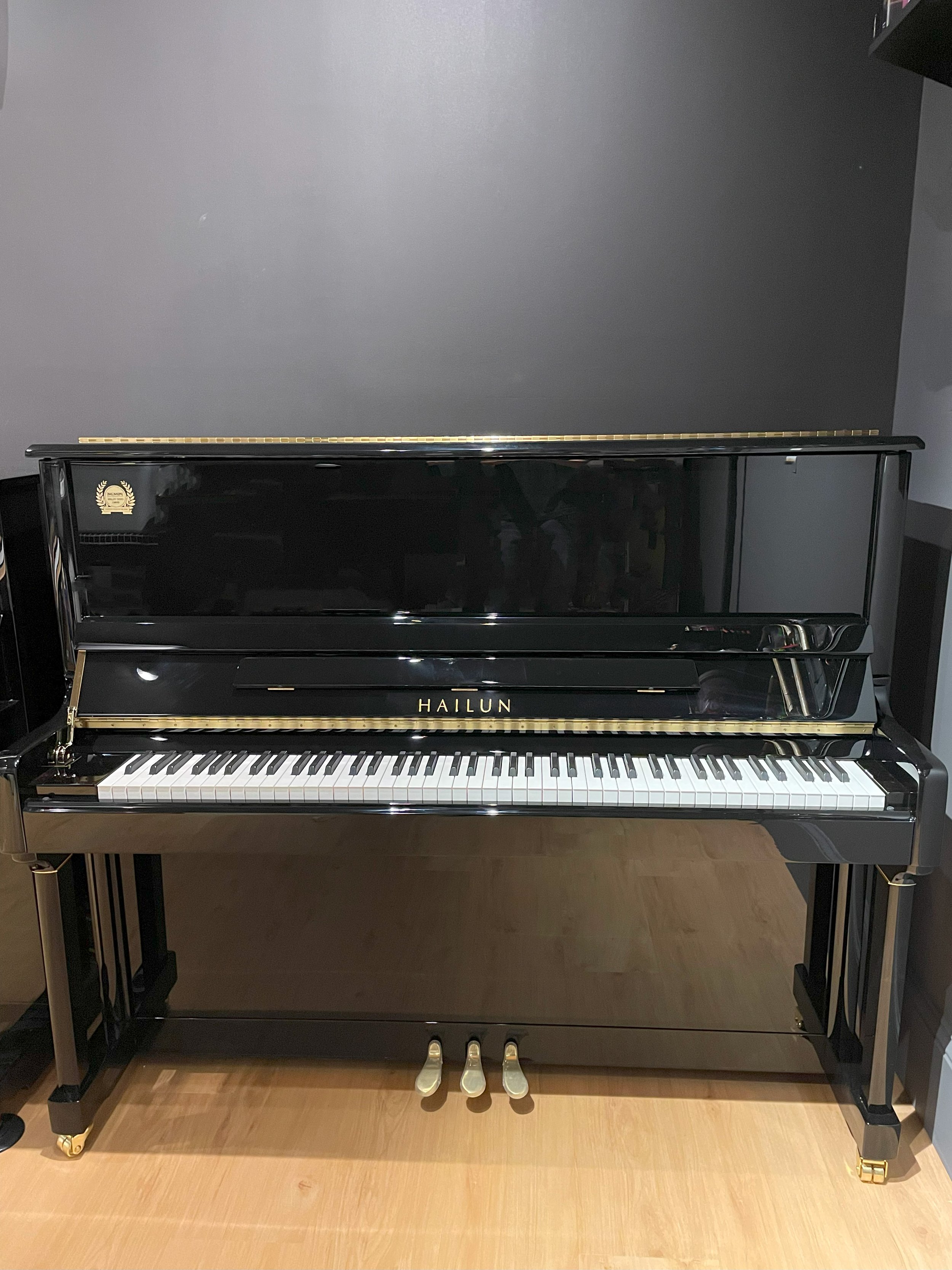 Hailun HU5P 2025