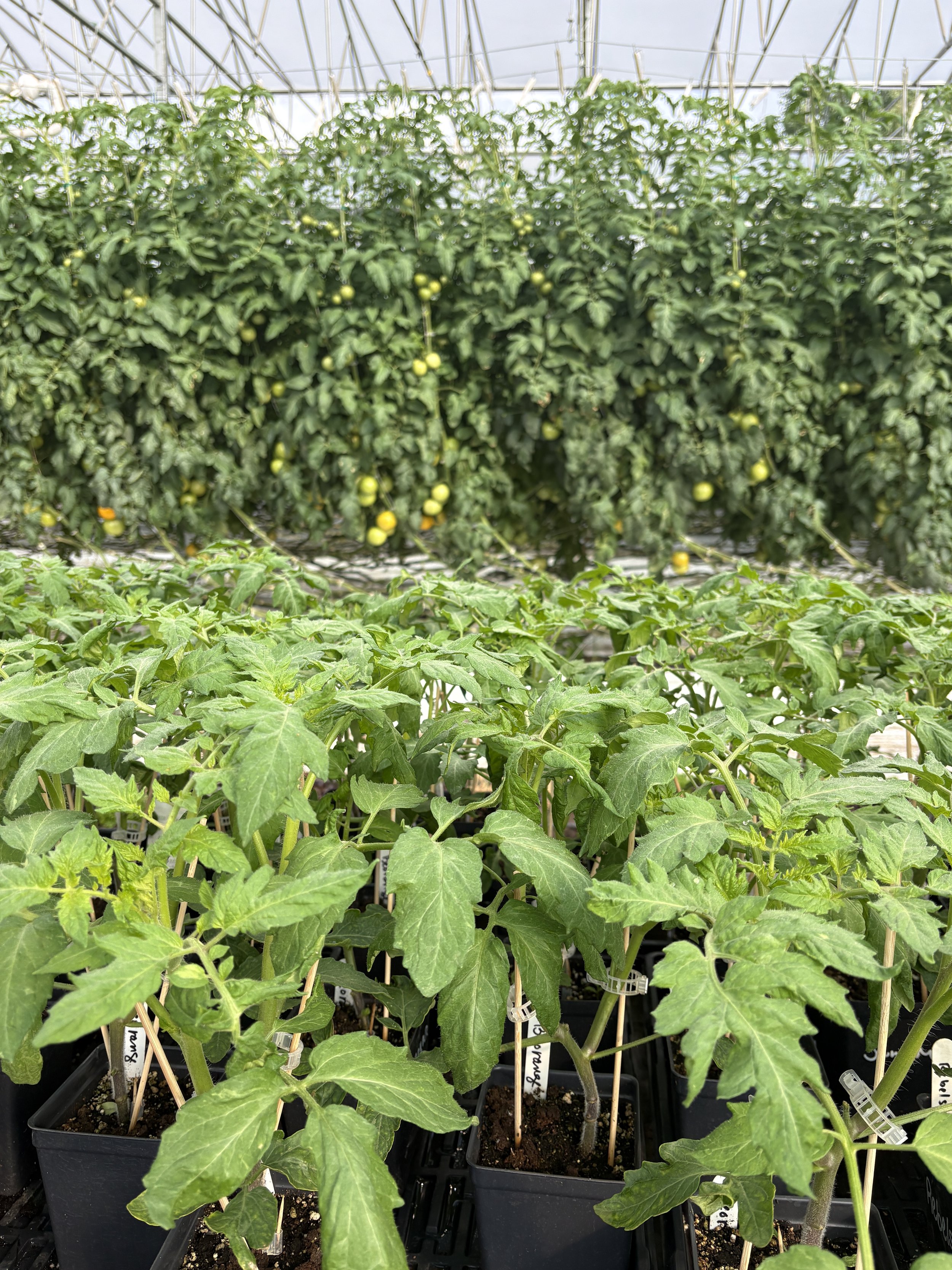 Le renouveau à la ferme