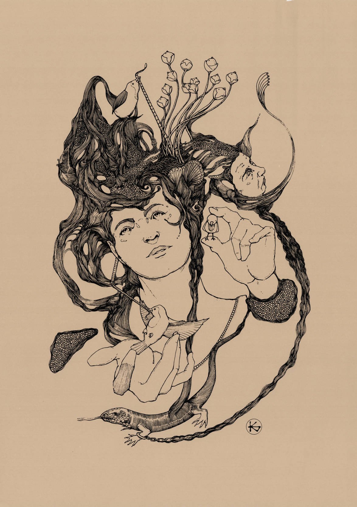 CHIMERA