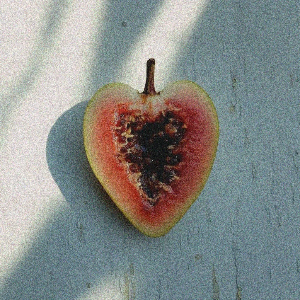 Fig-Heart.jpg