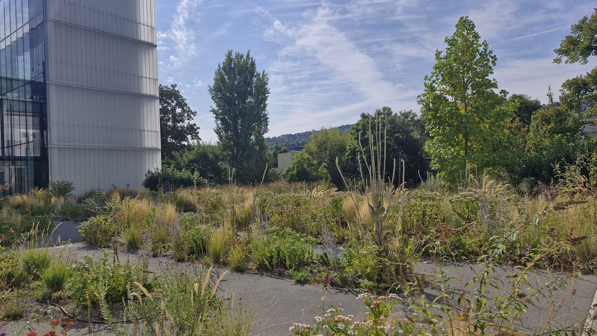 20250908_104700.jpg