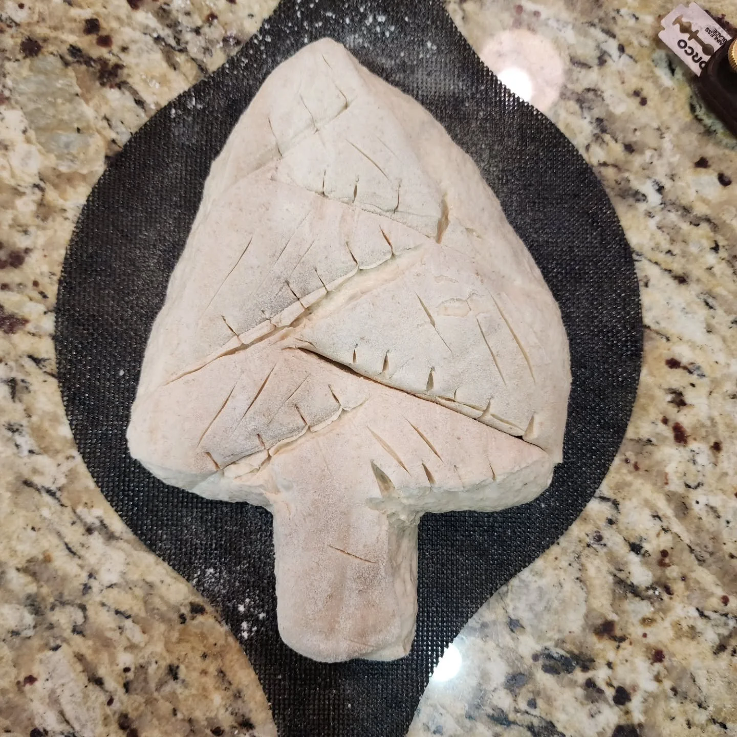 O Christmas tree, but make it bread 🥖🎄😉

Artistic sourdough is not my jam, but I do enjoy making my son laugh. 

Merry Christmas Eve ✨️