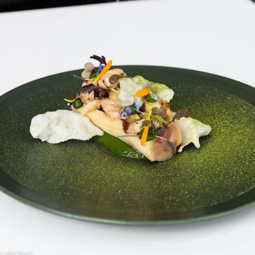 373290025_1482515762583126_5916180210577610545_n (1).jpg