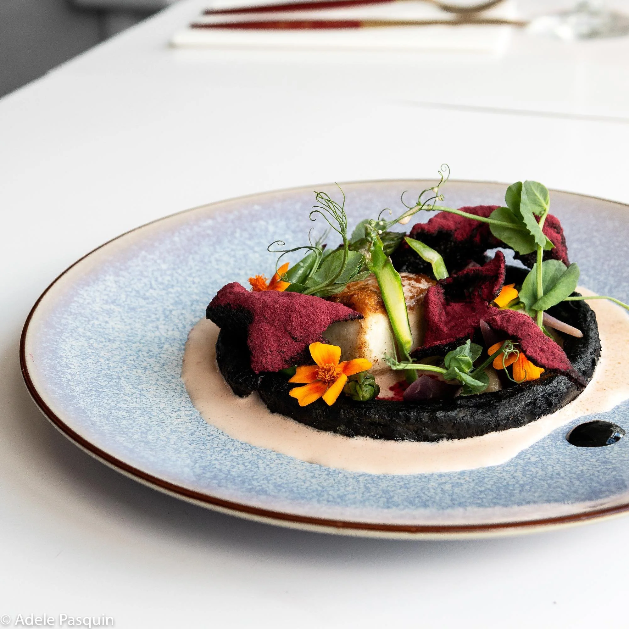 Photo Millen 1 (11).jpg