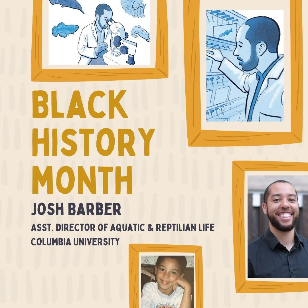 &quot;Black History Month celebrates our fight for equality through our nation&rsquo;s rocky past. I have been in this field for 15 years and people of color are still very scarce. I did not get here on my own. Employers and admissions committees had