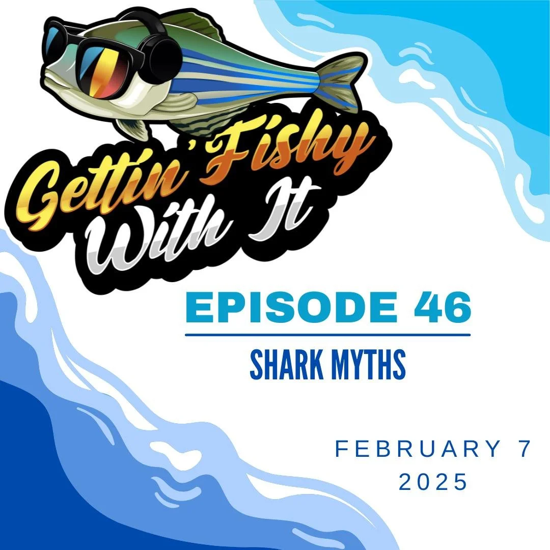 It's new episode launch day! We're making a splash busting some #shark myths! 🦈 We're covering so many topics, from finning to cancer to even the (very much extinct) Megalodon! Join us on your pod catcher of choice!