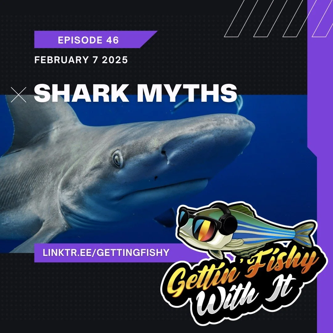New episode incoming! 🦈 This Friday, we'll be discussing #shark myths! Are sharks actually dangerous? Do they really not get cancer? Can they really never stop swimming? Join us on Friday for Episode 46: Shark Myths!