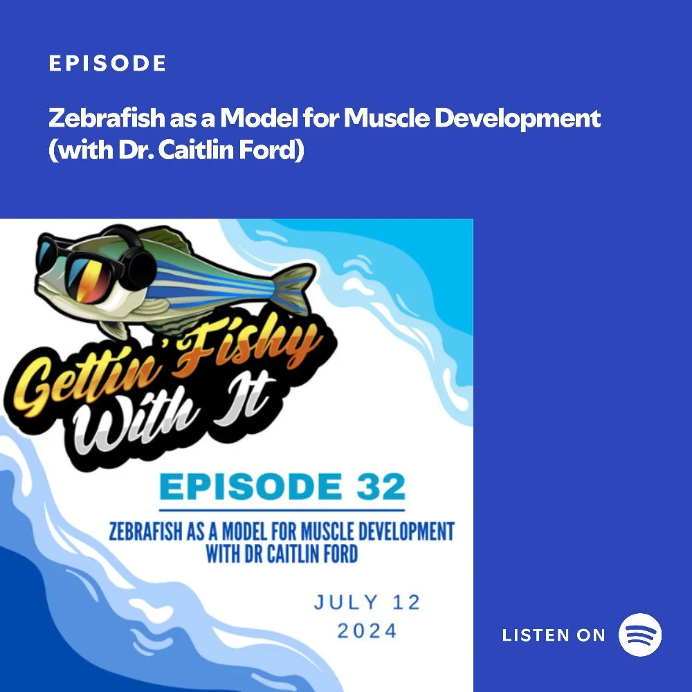 Join us this #ThrowbackThursday and listen to one of our #zebrafish episodes, where we discuss with Dr. Caitlin Ford why these tiny fish are such a great model for muscle development! You can find us on your favorite podcast app or via our bio link!