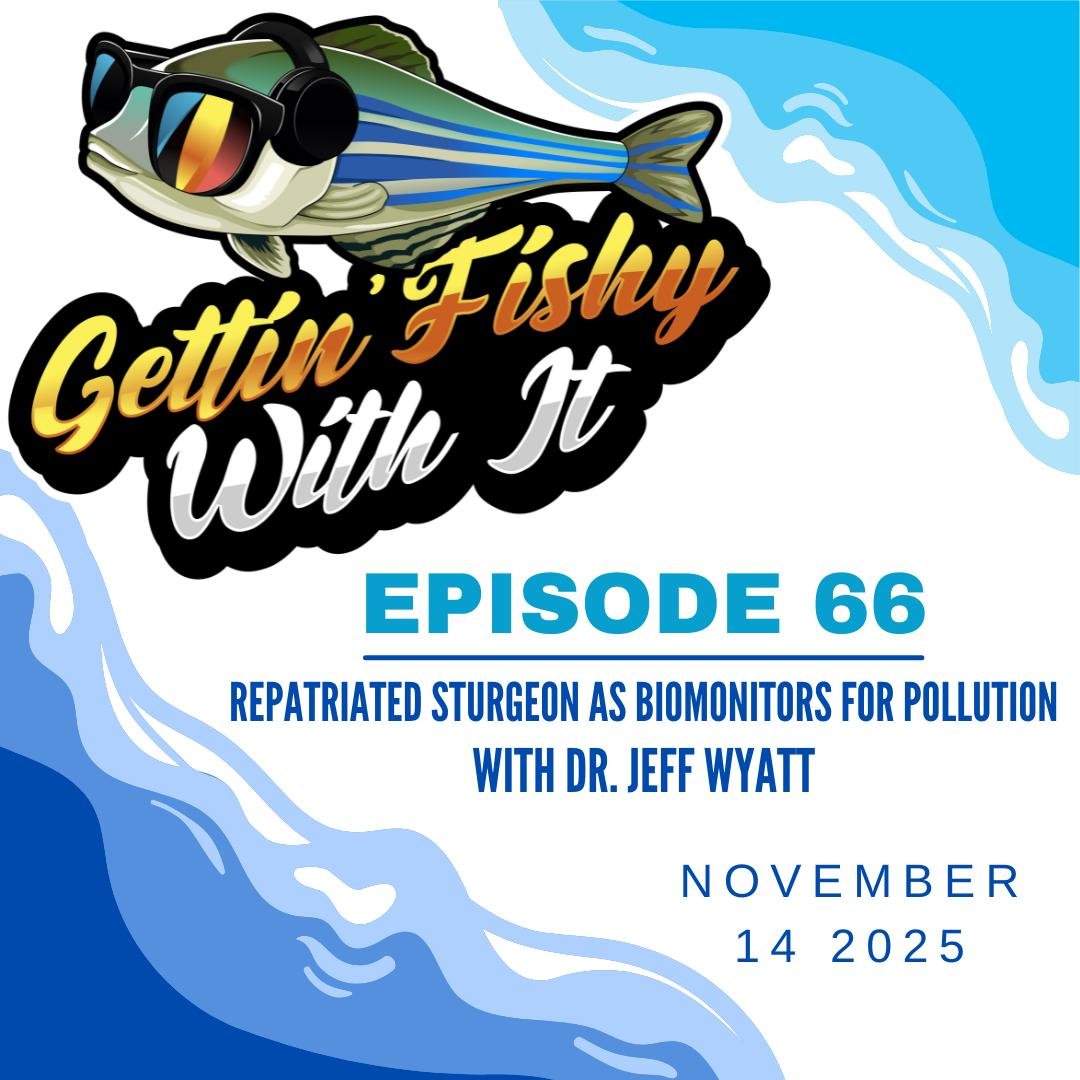 Hey, do ya like Sturgeon? We sure do! Want to learn about how repopulating their native habitats can actually help humans, too? I bet you do! Check out episode 66, with our friend and incredible guest, Dr. Jeff Wyatt! You can find the episode on your