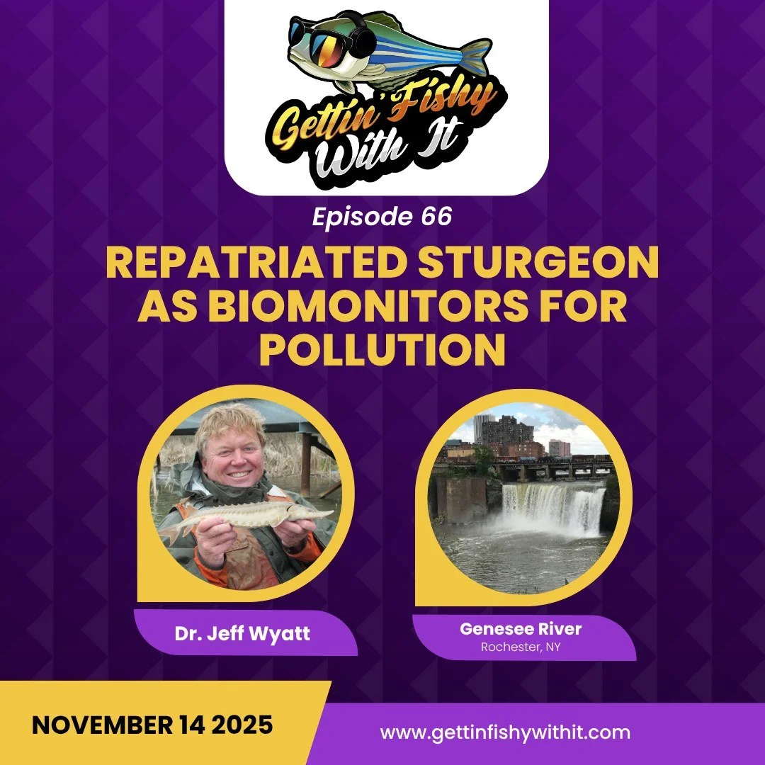 Even though #Garweek has ended, we wanted to keep the ancient fish love going this week! Join us on Friday where we'll learn about lake sturgeon repatriation with Dr. Jeff Wyatt!