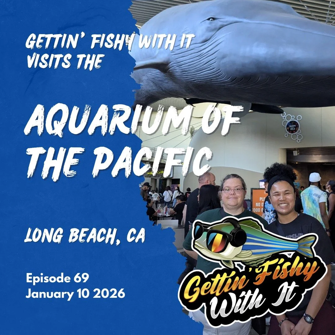 Happy New Year to all of our listeners! We're back this week with an episode about our visit to @aquariumpacific! What did Christine and Amber think about this Long Beach facility? Join us on Saturday (note the new date for release!) to find out!
