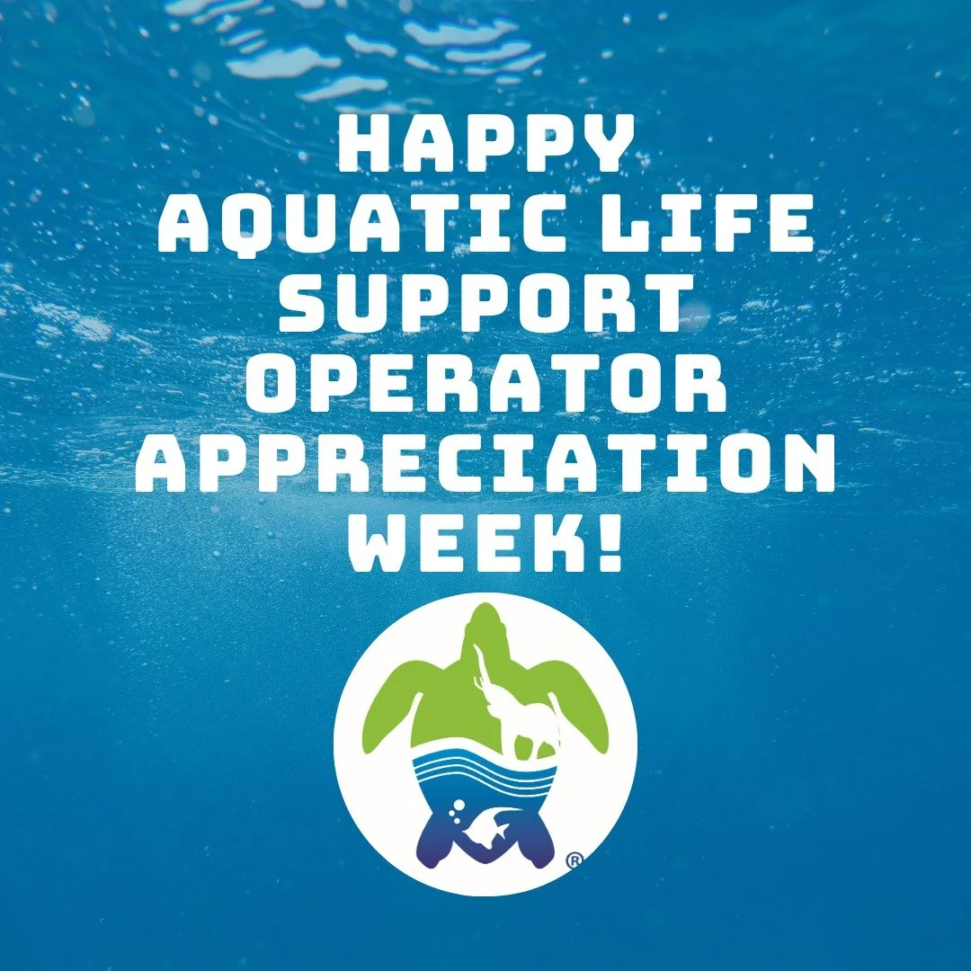 Happy Aquatic Life Support Operator Week! This year, @aalsoturtle has inaugurated the first ever appreciation week for January 11-17, 2026! Life support system operators are the professionals who manage water quality and mechanical water and filtrati
