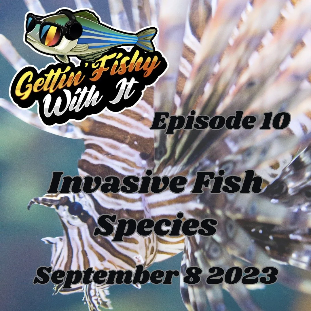 This week is National Invasive Species Awareness Week! We did an episode all about invasive fish species way back in 2023. It was our 10th ever episode. Give it a listen and learn about why invasive species can be harmful, and what you can do to prev