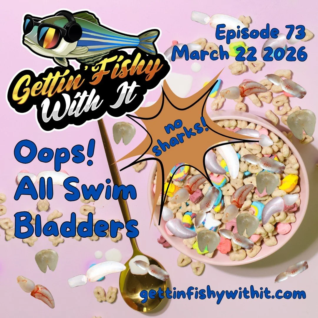 Listeners, we are back! This weekend, we're dropping something a little different. A little bit... shiny. We're going to be chatting all things swim bladder. No sharks allowed! Want to learn more than you ever needed to know about this fishy organ? J