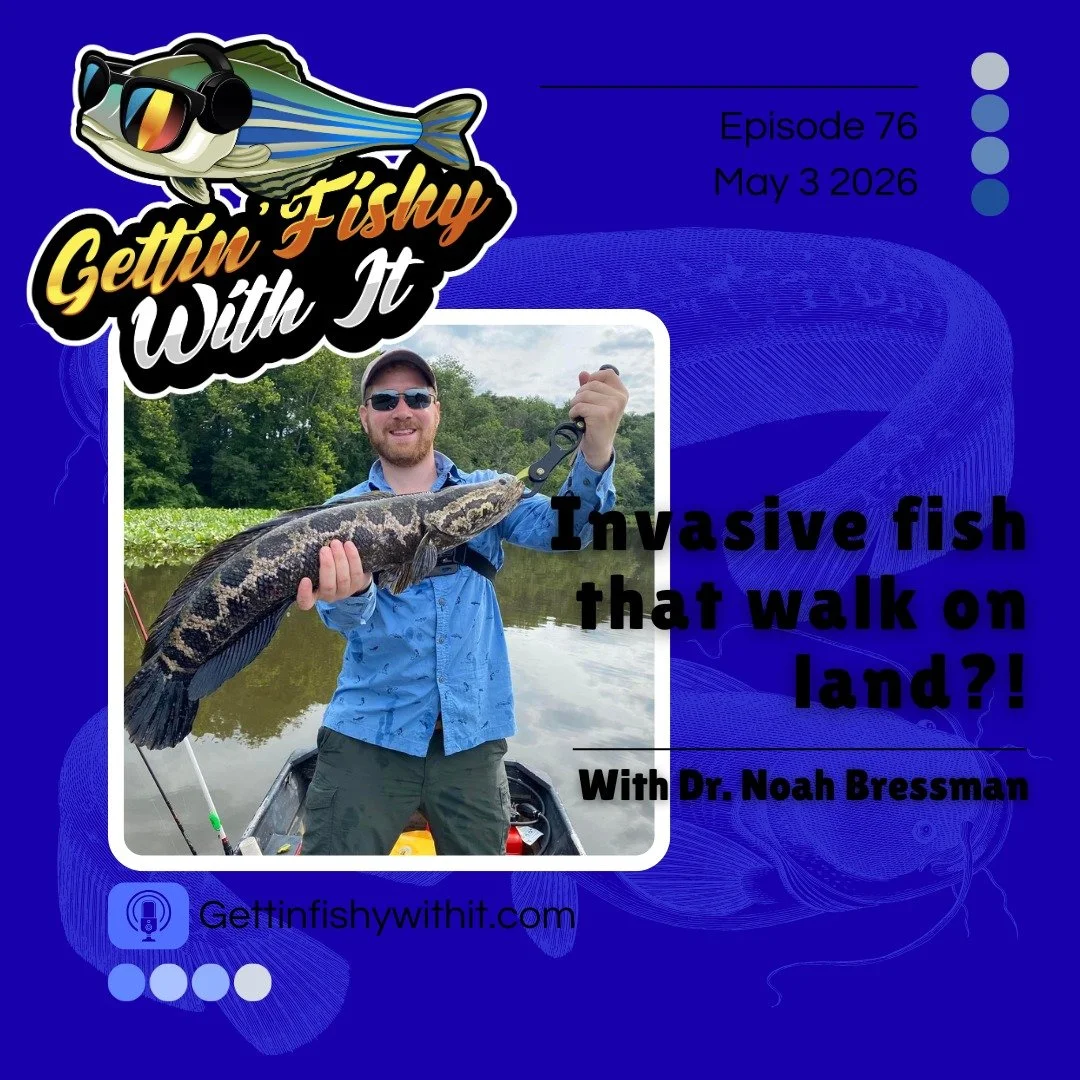 Hey kid, do you wanna learn about reffling? All the cool Loricariidae are doing it!

Join us for episode 76, where we chat with @noahwithfish! We'll learn about his incredible career and his work studying fish species which can ambulate on land! Find