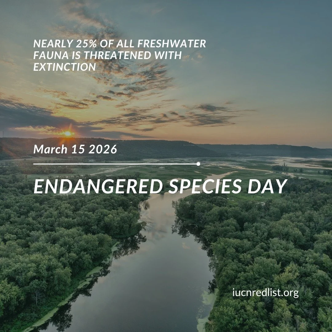 Today is Endangered Species Day. Did you know that around one quarter of all freshwater fauna is threatened with extinction? Do you have a favorite endangered freshwater organism that you wish people knew more about? Share in the comments!
.
.
.
#End