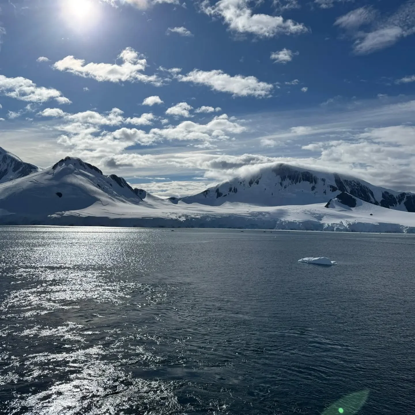 Happy World Ocean Day! Did you know that all of the oceans are connected, and are technically one global body of water? That's why we call it World Ocean Day. Dropping the "s". We are all connected through our global ocean, and we are all s