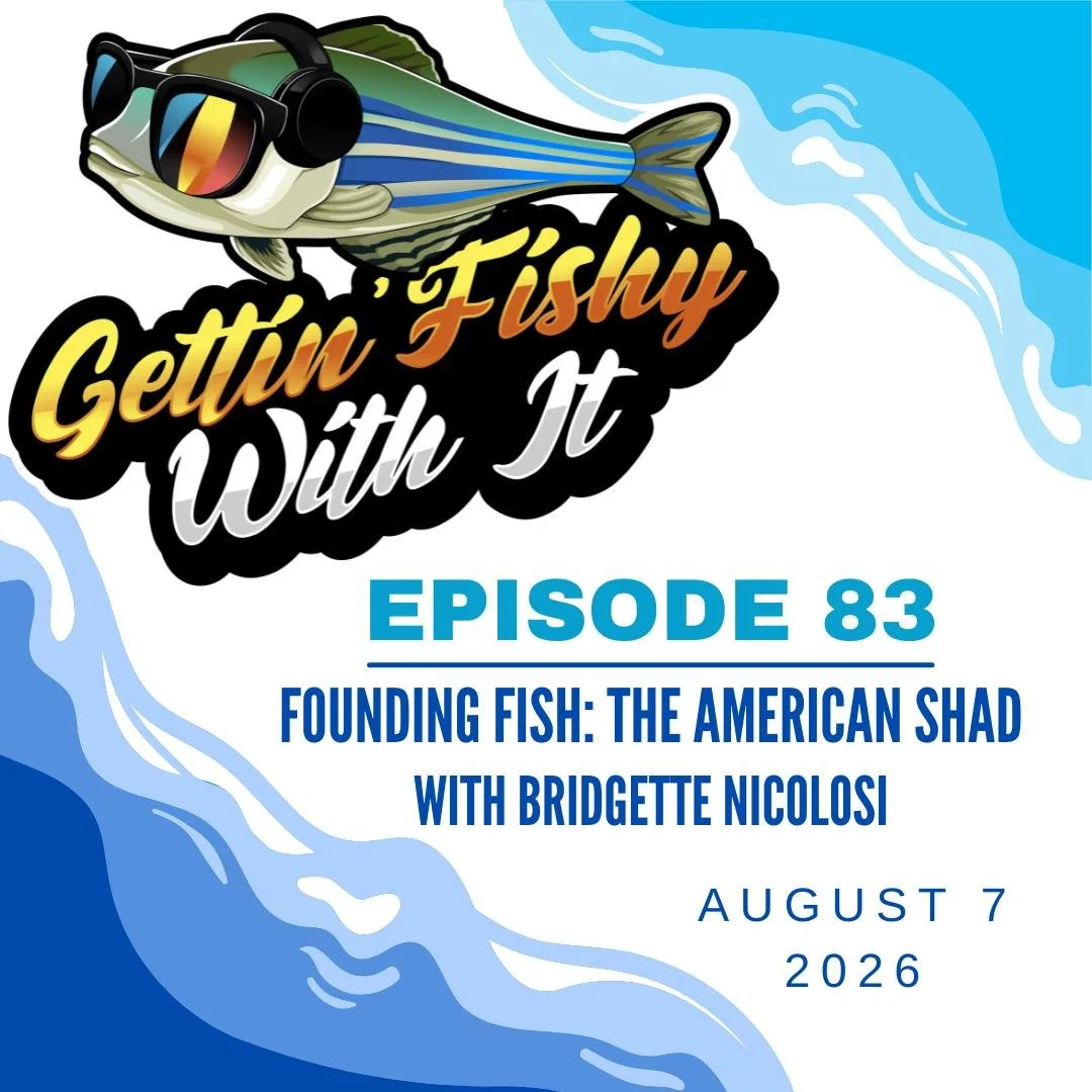 Don't forget to check out our Chad... I mean, Shad episode! We were joined by @bridgeonthewater__ to learn all about one of America's founding fish, the American Shad! She shared some great insights on getting into the field, too! Find us on your pod