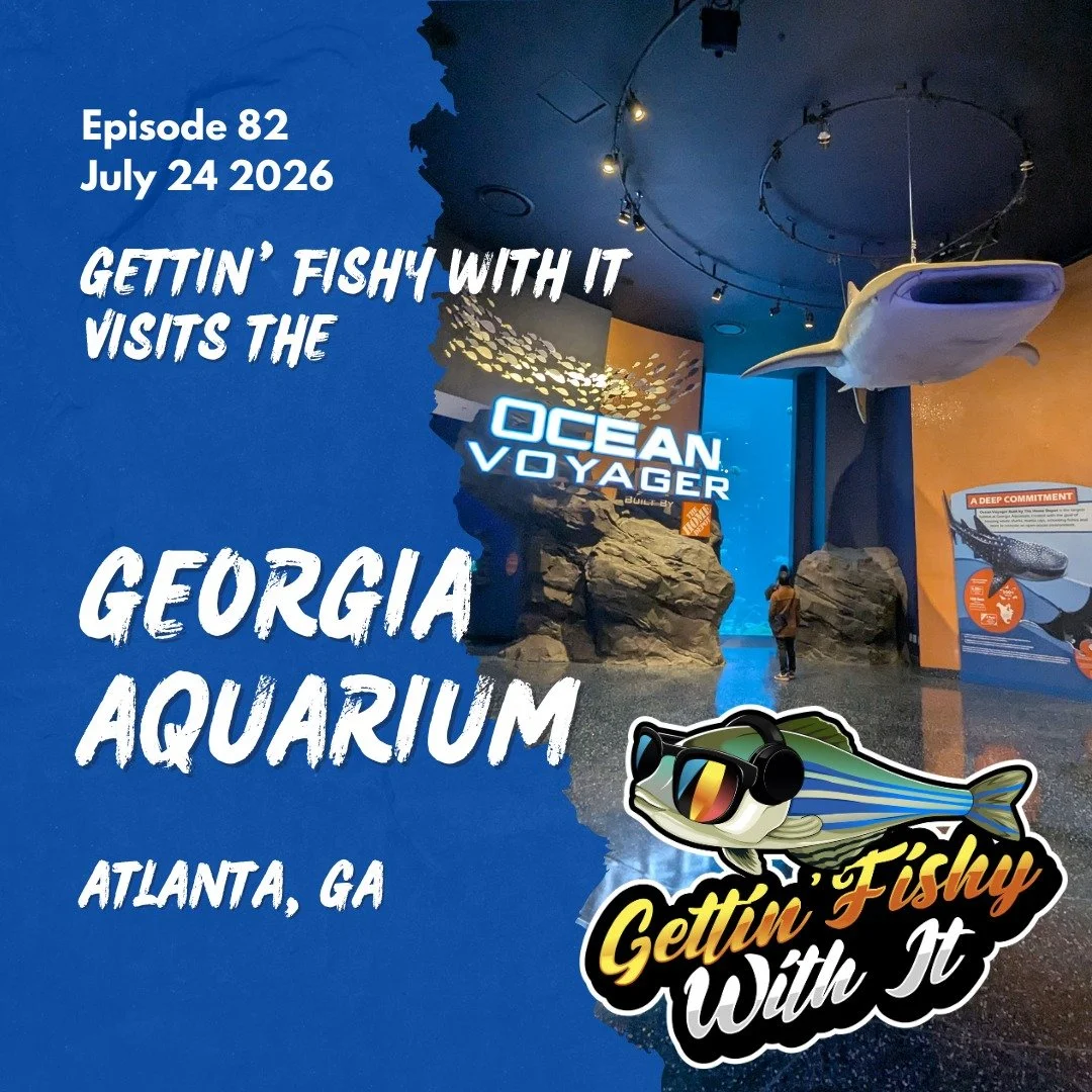 Episode 82 is live today! We finally did it! We visited one of the most epic aquariums in the world, @georgiaaquarium! How did @joshbarbershop drag himself away from World of Coke, and how much time did @nerdrvt spend crying? Check out the episode to