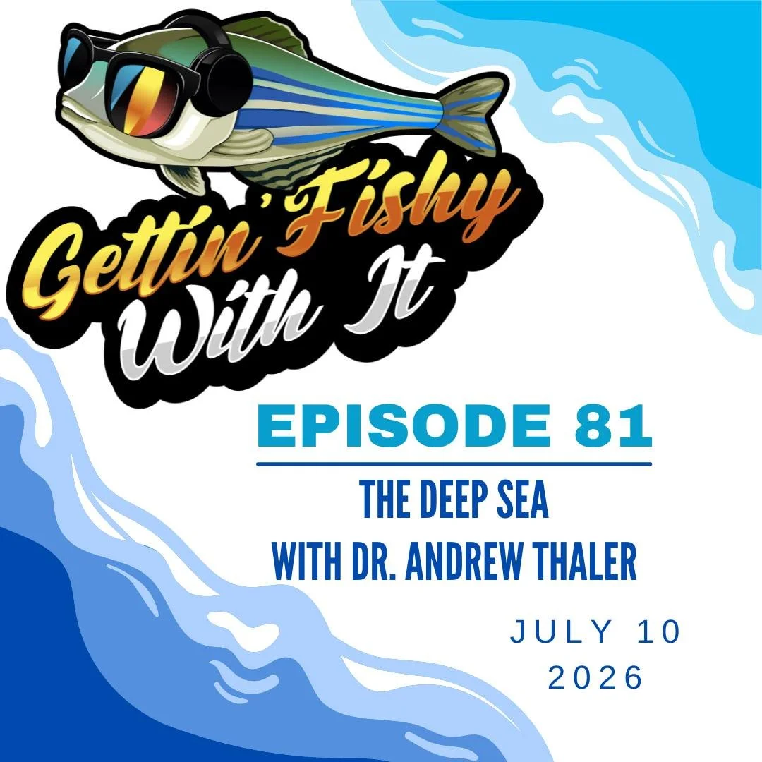 Don't forget to listen to our 81st episode all about the deep sea with @drandrewthaler! Learn about why the deep sea and its denizens are vulnerable to resource extraction like deep sea mining, with some fun submersible stories along the way! Dive in