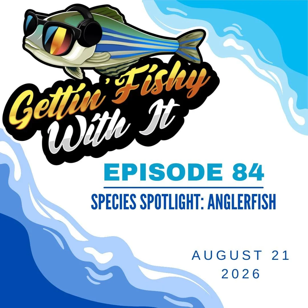 Be sure to check out our latest episode, all about the anglerfishes! From ultra-black footballfish to hot pink frogfish, anglers are an incredible, unusual bunch! Find our episode on your podcast app of choice to learn all about them!
