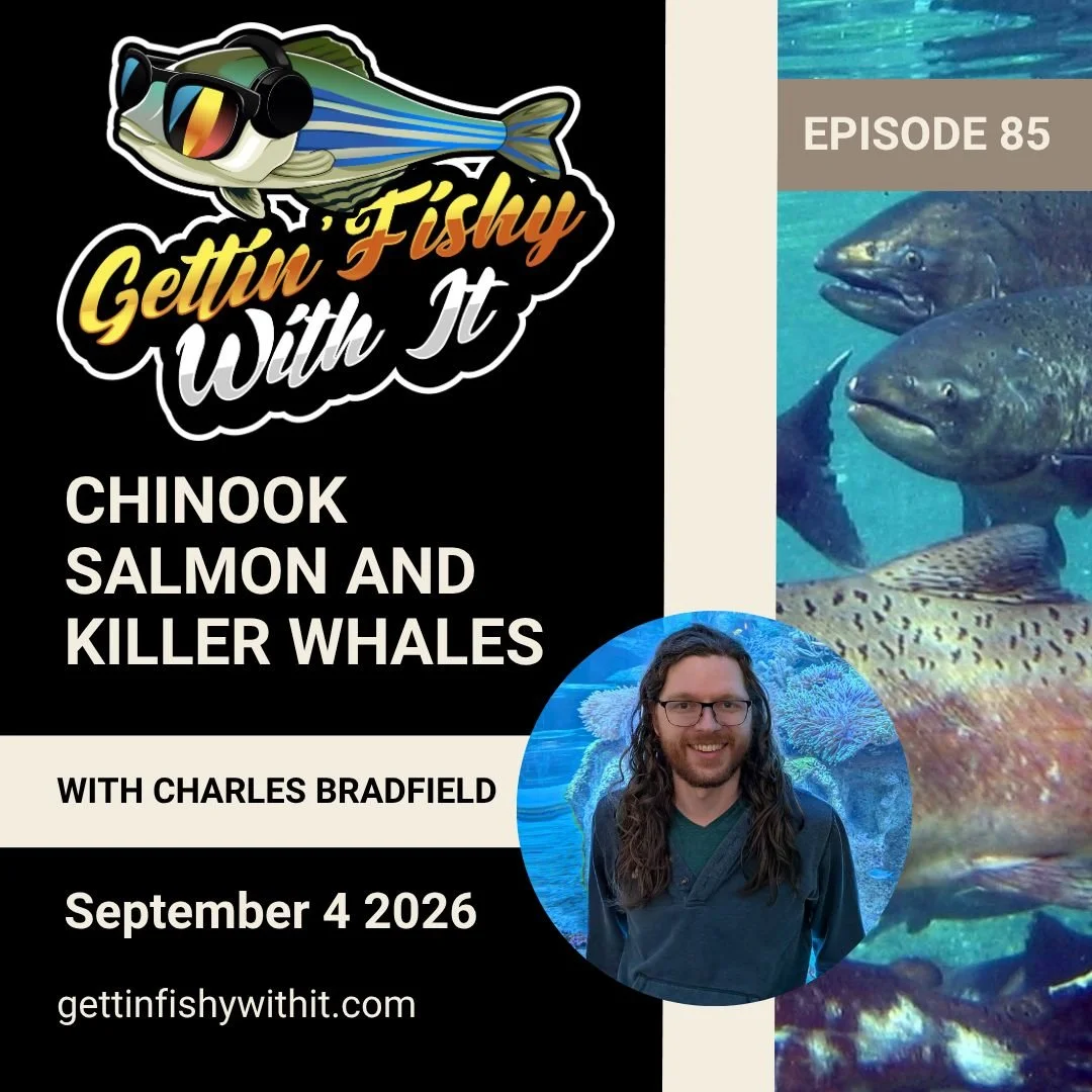 Episode 85 is upon us! We have a special guest and a bit of a different topic this time. Wanna hear us learn about cetaceans, specifically Orca? How about Chinook Salmon? Better yet, want to learn how the two are linked? Join us to learn all about it