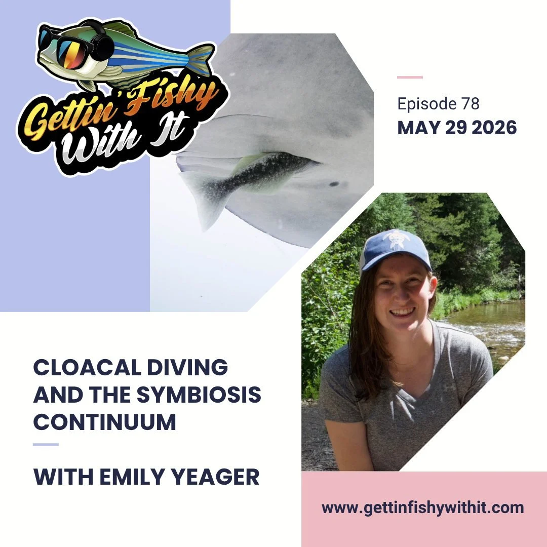 Today is #worldmantaday and we are throwing back to our episode all about cloacal diving! Join us and guest @e.yeags to learn about these amazing animals and how symbiosis may be a bit more complicated than you think! Also, did you know that mantas a