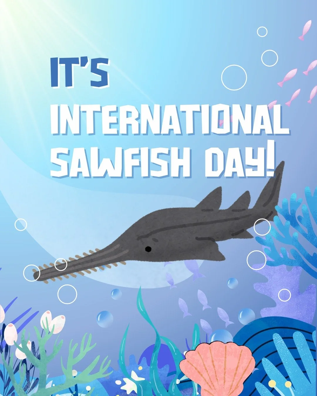 Today is #InternationalSawfishDay! We're celebrating these nearly extinct shark cousins by learning about threats to their survival and how you can help! Be sure to check out @sawfishconservationsociety and @u.s.sawfishrecovery for more info about th