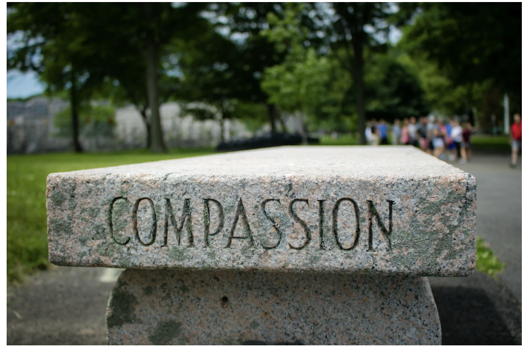 Understanding Primary Progressive Aphasia