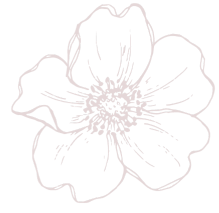 Outline drawing of a single flower with petals and central stamen, minimalistic style.
