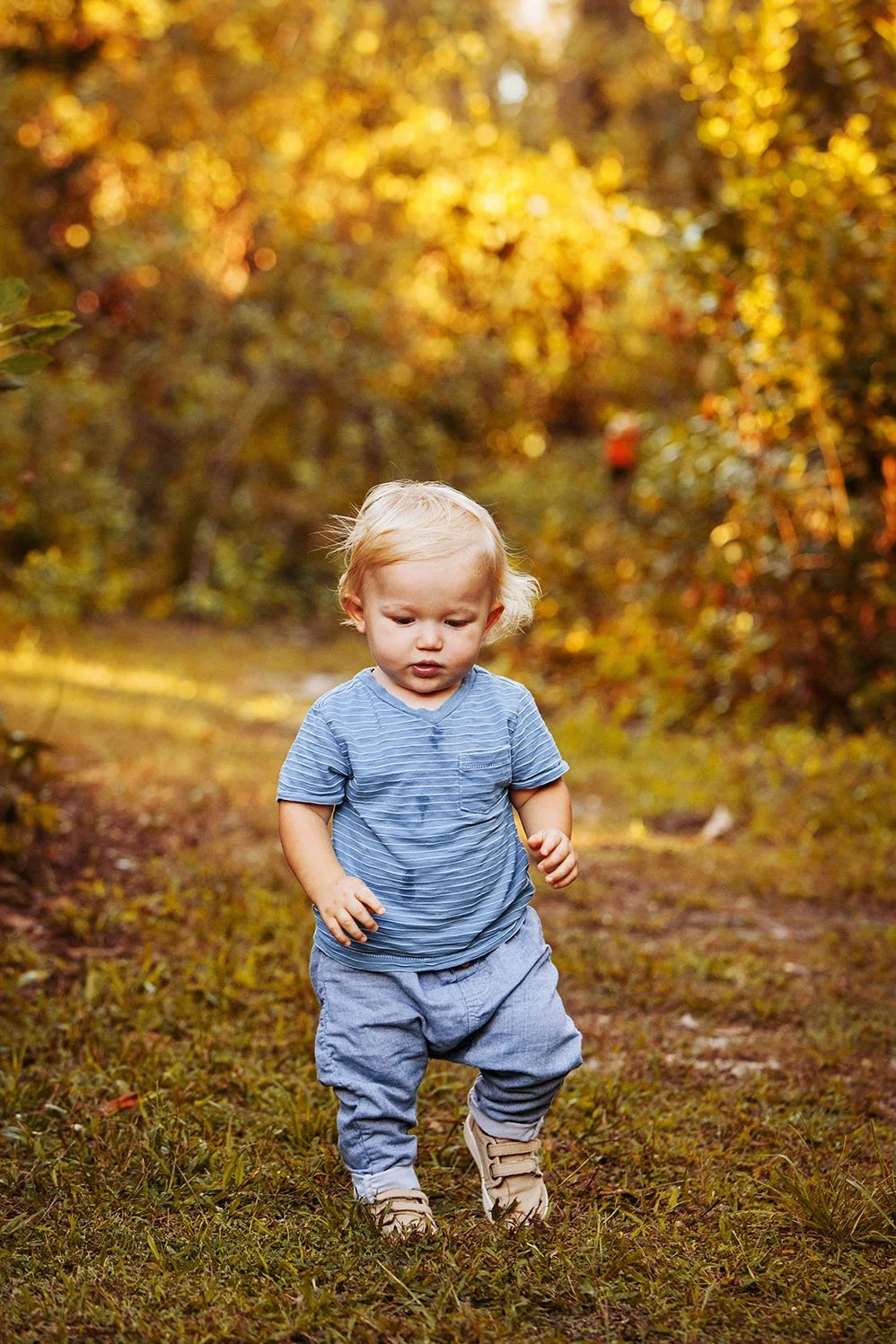 lindsayparks-115fall.jpg