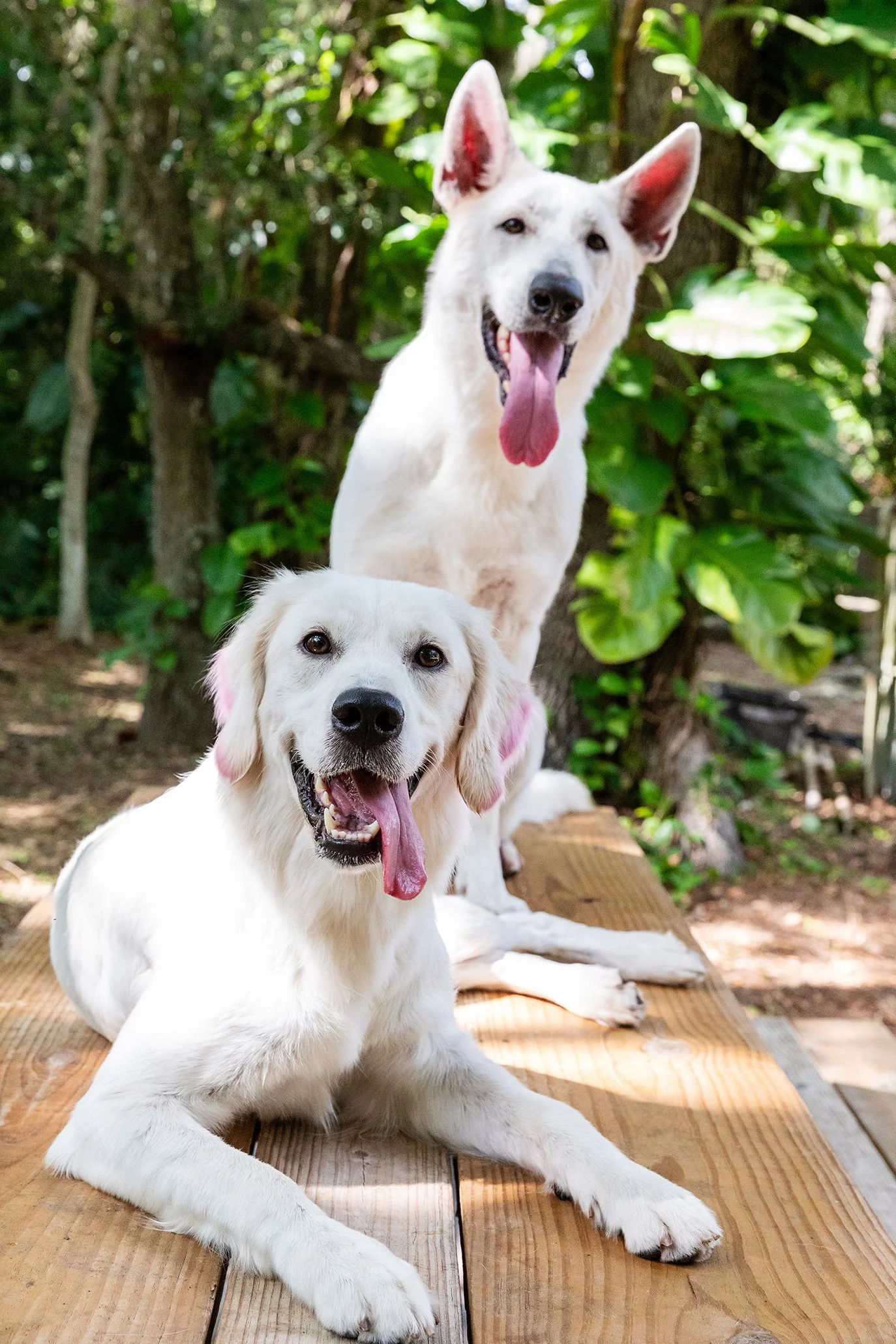 lindsayparks-200 (from backup).jpg