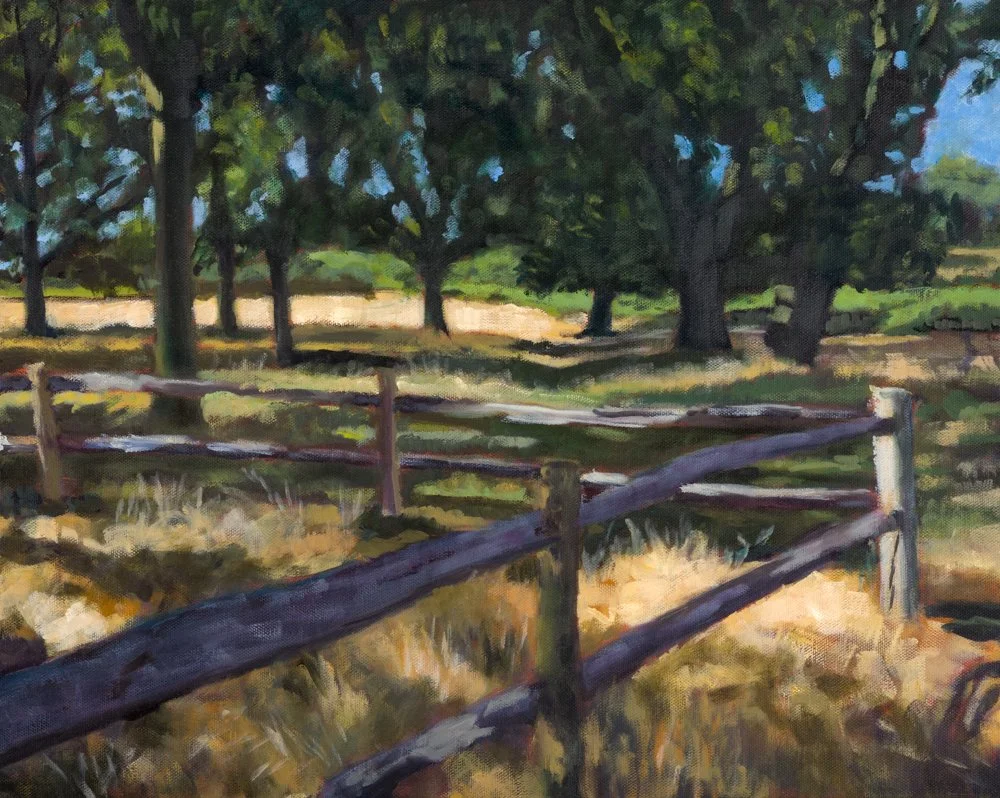 julian-churcher-richmond-park-fence.jpg