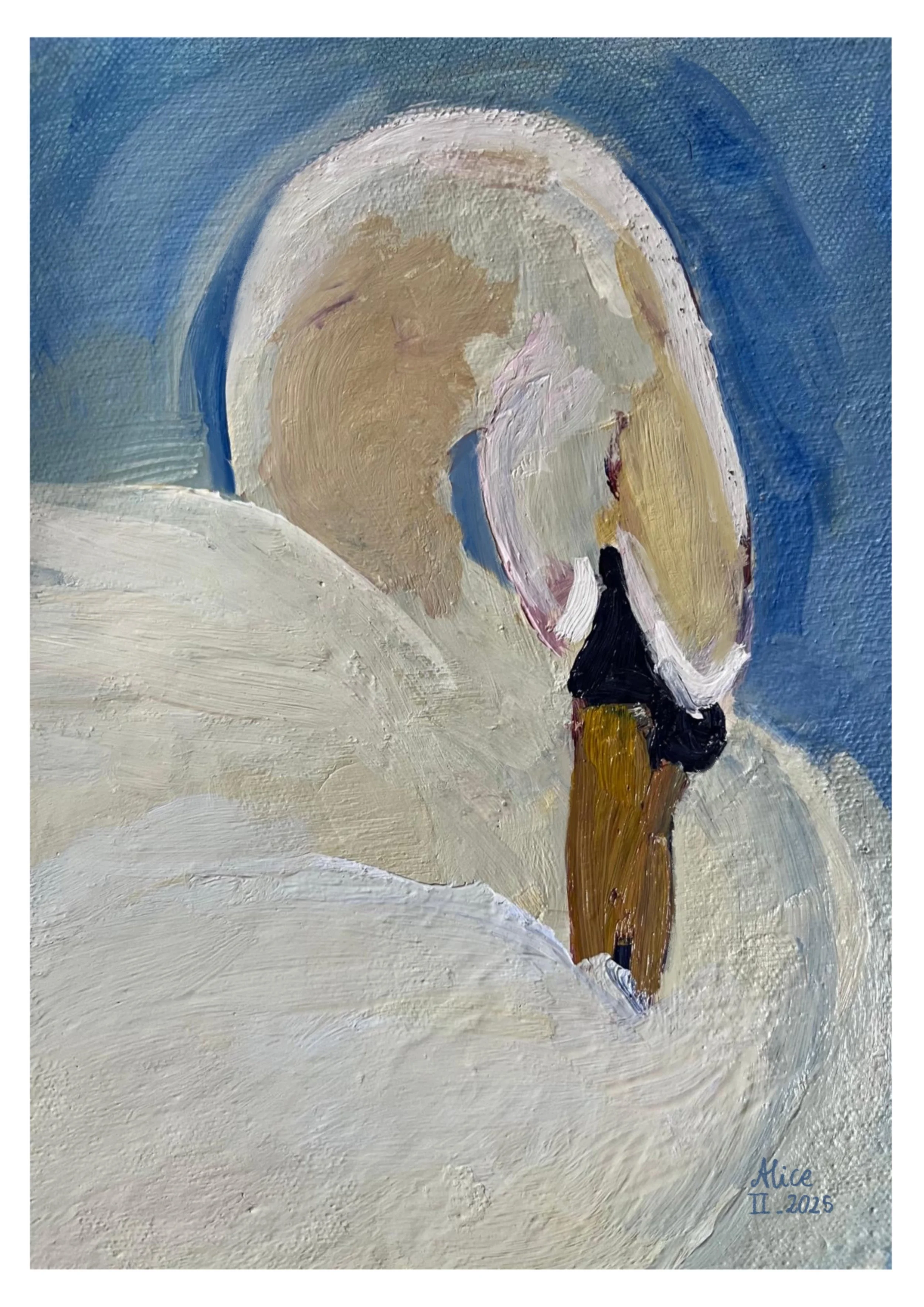 Glorious Swan.jpg