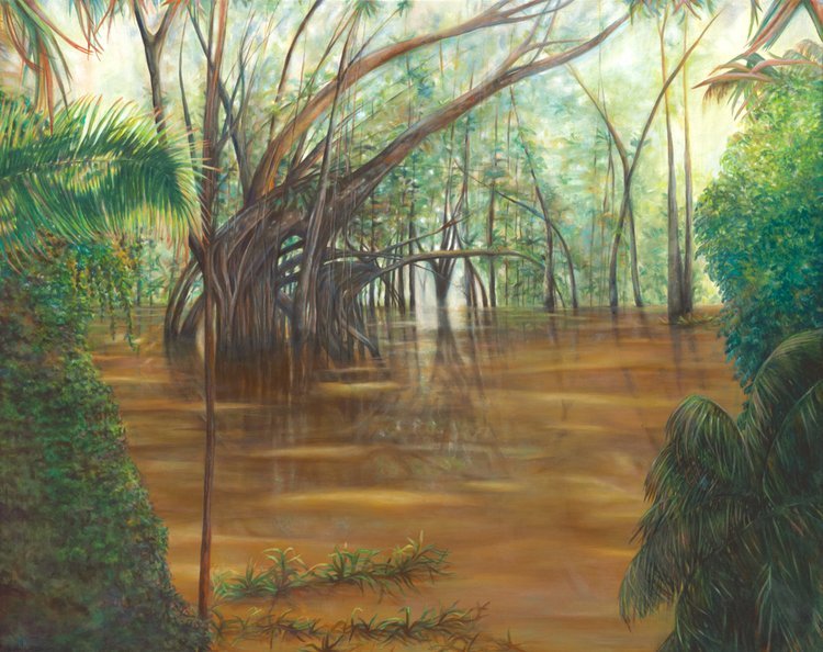 Colombian Amazon Flooded Jungle by Emily Robson.jpg
