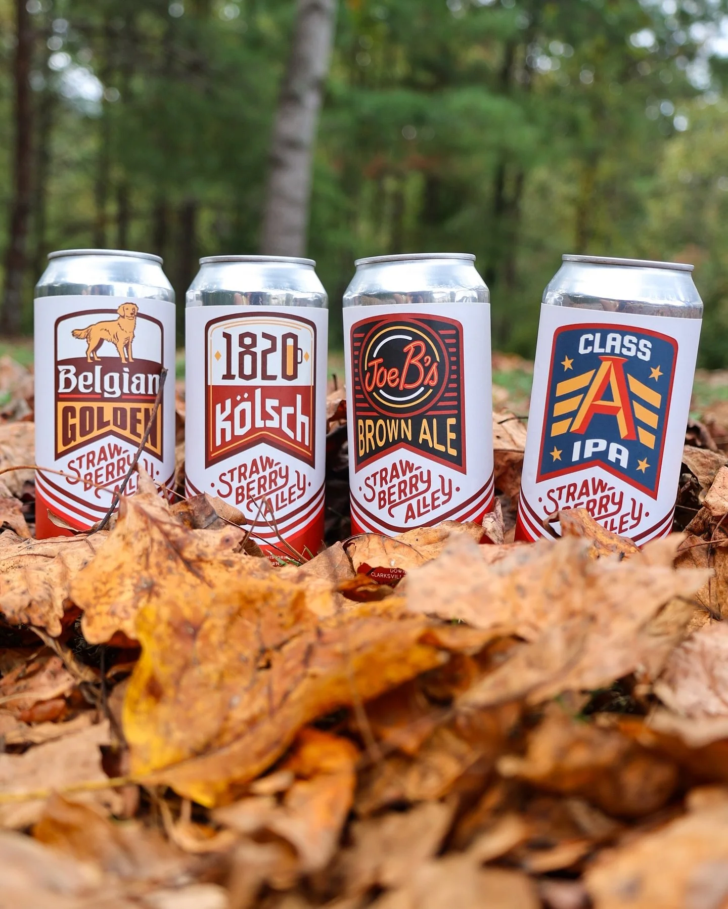 Your go-to drink this fall in Clarksville? We&rsquo;ll give you a hint&mdash;it comes in a 4-pack. 😉

From flagship favorites to seasonal brews, Strawberry Alley has your to-go beer covered.
Ask your bartender for cans, growlers, or any beer on tap 